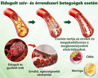 Hivatalos Webáruház | 🧑‍⚕️🩺 𝑯𝒆𝒂𝒍𝒓𝒊𝒛𝒆® Moringa · Berberin × NAD+ 10-ben-1 Fejlett Nanomikrotűs Tapasz — Naponta Egyszer, Látható Eredmény 7 Nap Alatt