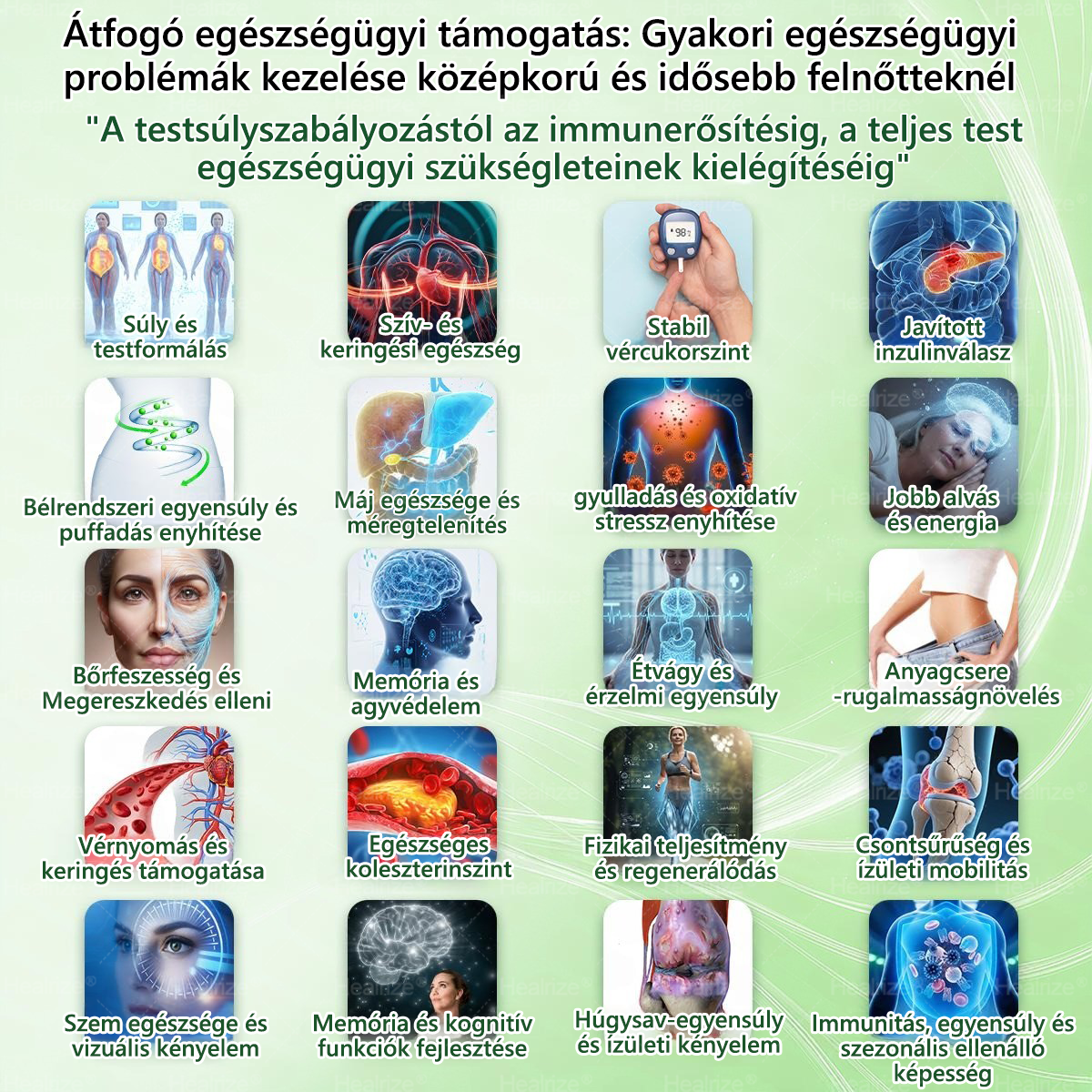 Hivatalos Webáruház | 🧑‍⚕️🩺 𝑯𝒆𝒂𝒍𝒓𝒊𝒛𝒆® Moringa · Berberin × NAD+ 10-ben-1 Fejlett Nanomikrotűs Tapasz — Naponta Egyszer, Látható Eredmény 7 Nap Alatt
