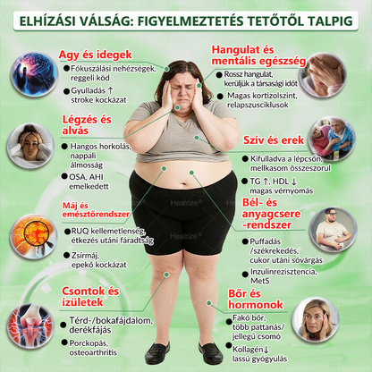 Hivatalos Webáruház | 🧑‍⚕️🩺 𝑯𝒆𝒂𝒍𝒓𝒊𝒛𝒆® Moringa · Berberin × NAD+ 10-ben-1 Fejlett Nanomikrotűs Tapasz — Naponta Egyszer, Látható Eredmény 7 Nap Alatt